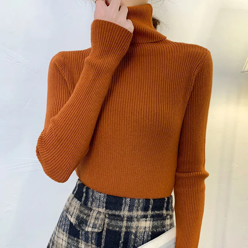 Casual V-Neck Sweater