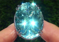 Garden Classic Jewelry