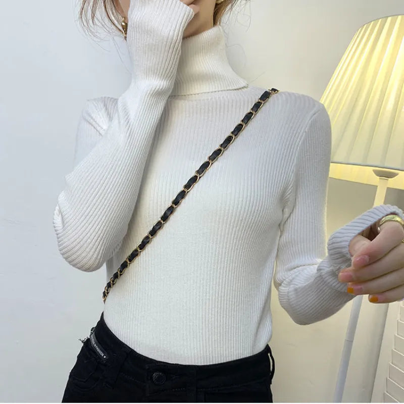 Casual V-Neck Sweater
