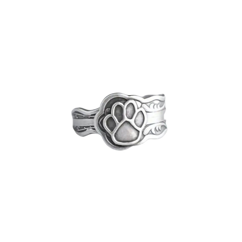 Daily Earrings Jewelry