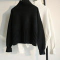 Casual Cropped Sweater