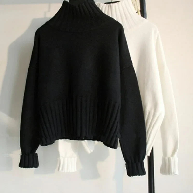 Casual Cropped Sweater