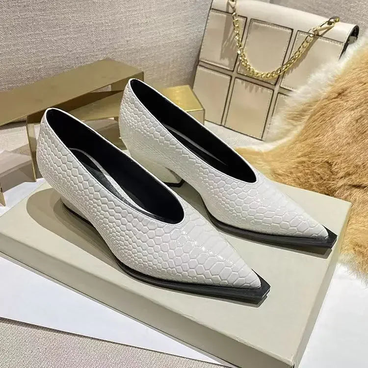 Clean Loafer Shoes