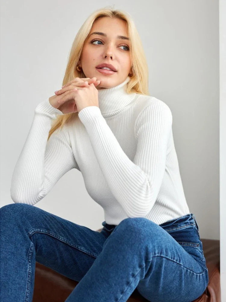 Classic Knit Sweater