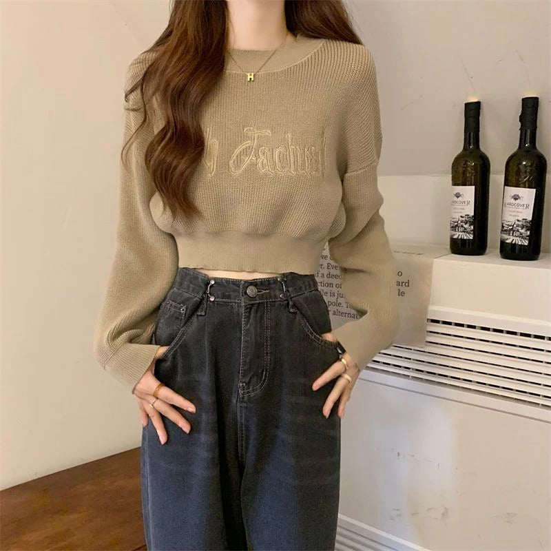 Casual Cropped Sweater